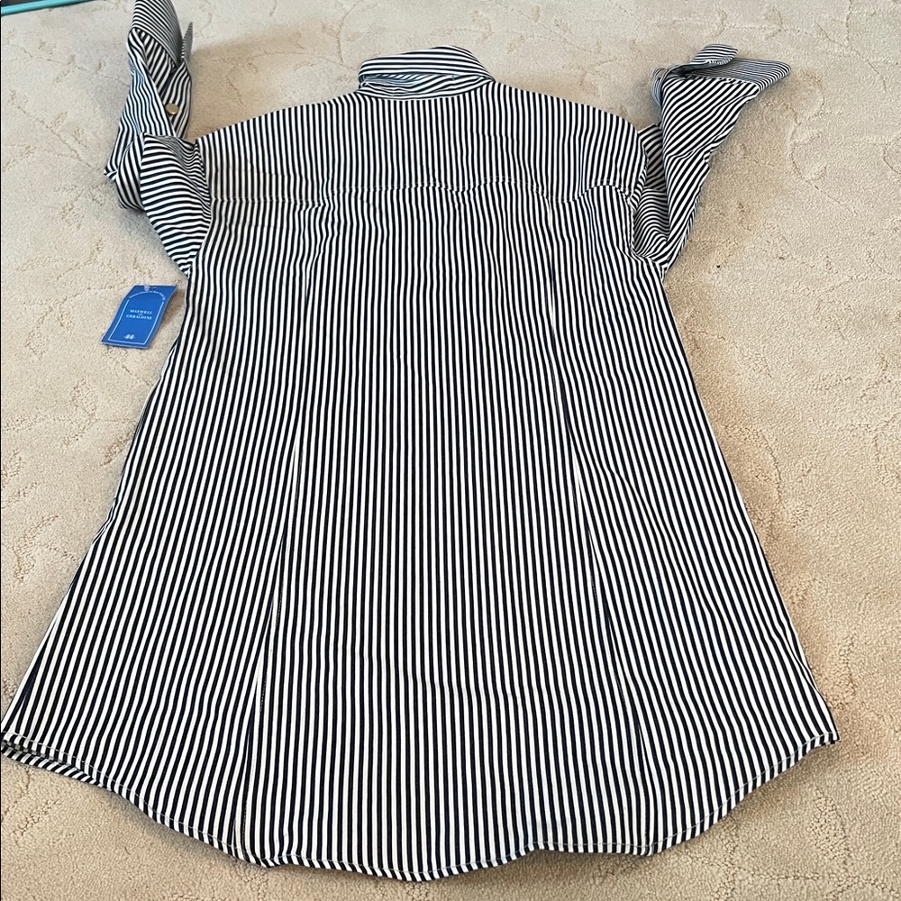 MAXWELL AND GERALDINE ERIN SHIFT DRESS Small NWT - Picture 7 of 7
